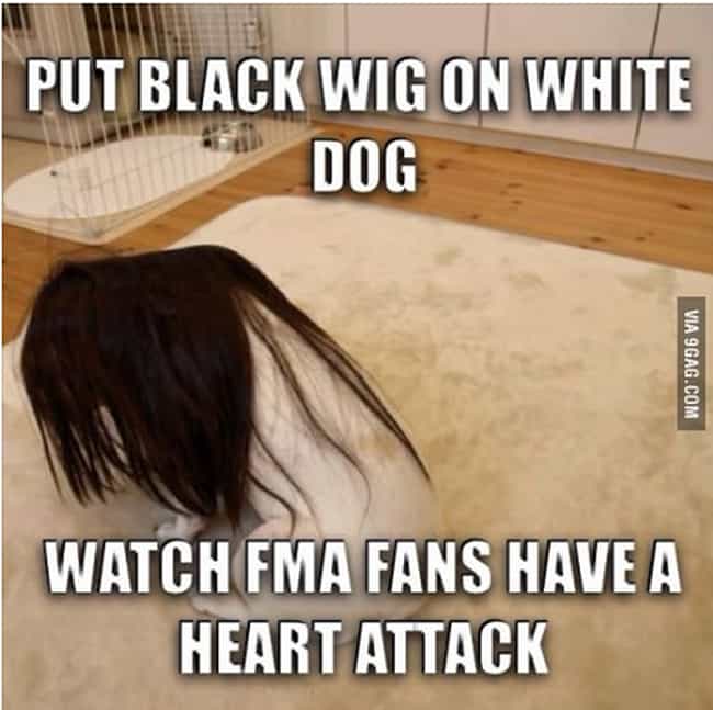 25 hilarious nina tucker memes from full metal alchemist item 9 photo u1?w=650&q=50&fm=jpg&fit=crop&crop=faces 25 hilarious nina tucker memes from full metal alchemist